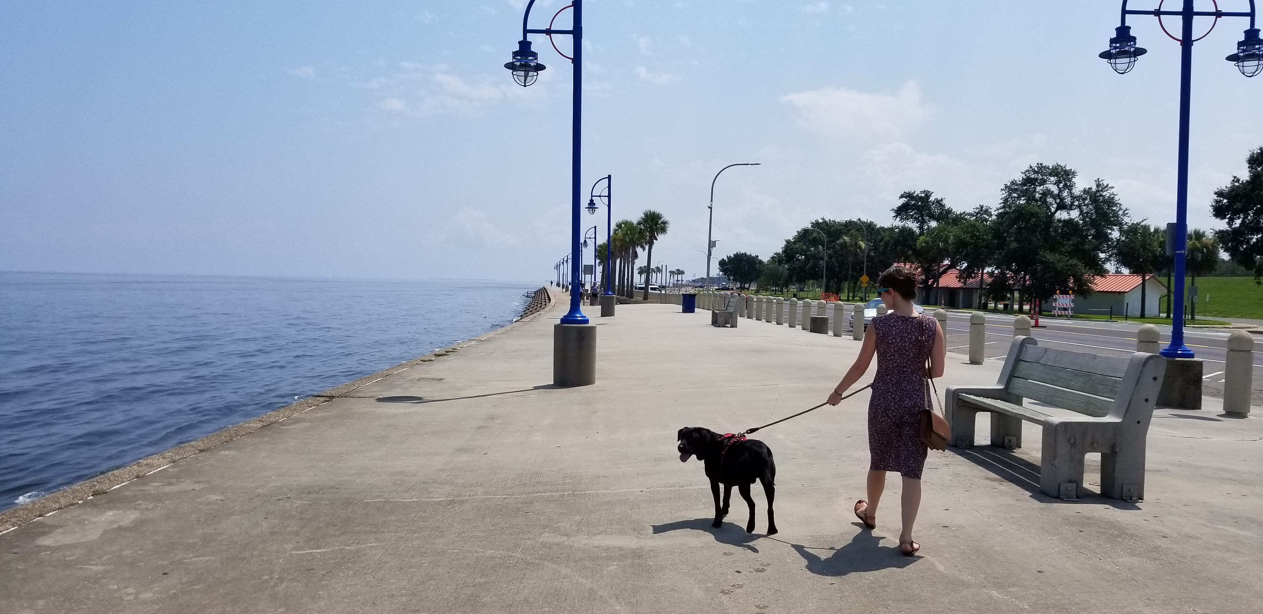 A lakeside promenade with blue lamps and a person walking a dog